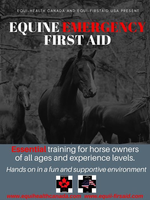 Equine Health and Emergency First Aid - Online theory portion