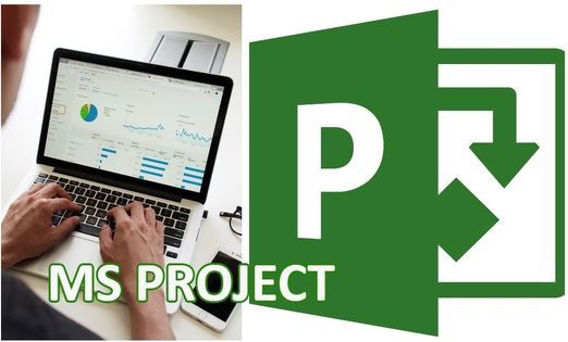 introduction microsoft project online