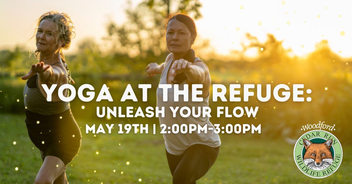 Yoga at the Refuge: Unleash Your Flow