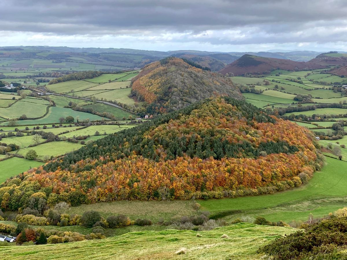 Exploring Stanner Rocks near Kington: A Scenic Countryside Walk through Herefordshire