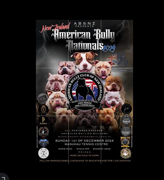 NZ\u2019s FIRST AMERICAN BULLY NATIONAL 