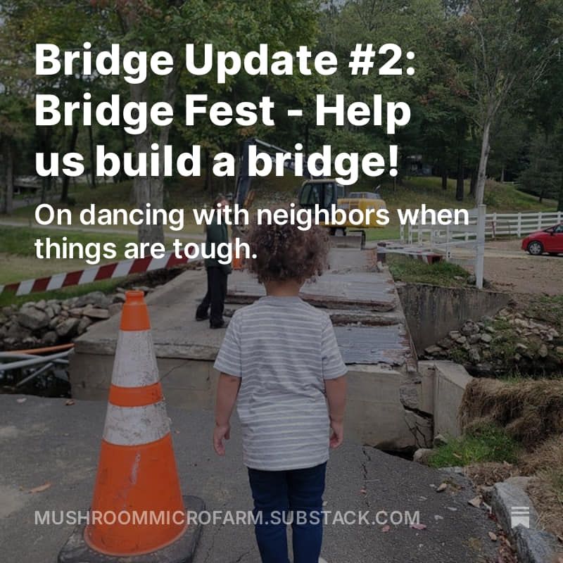 Bridge Fest!