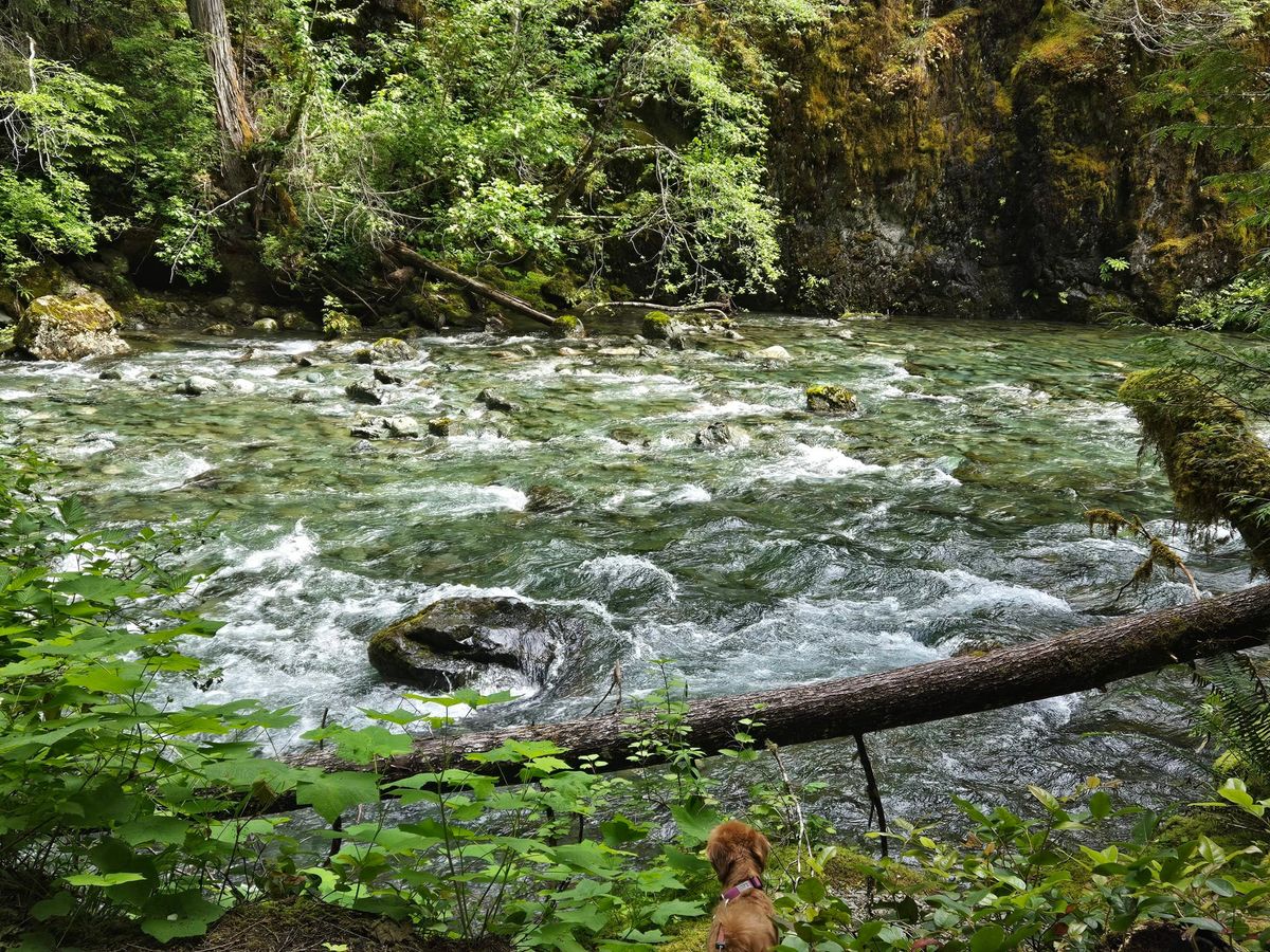 Campbell River Streamkeepers course