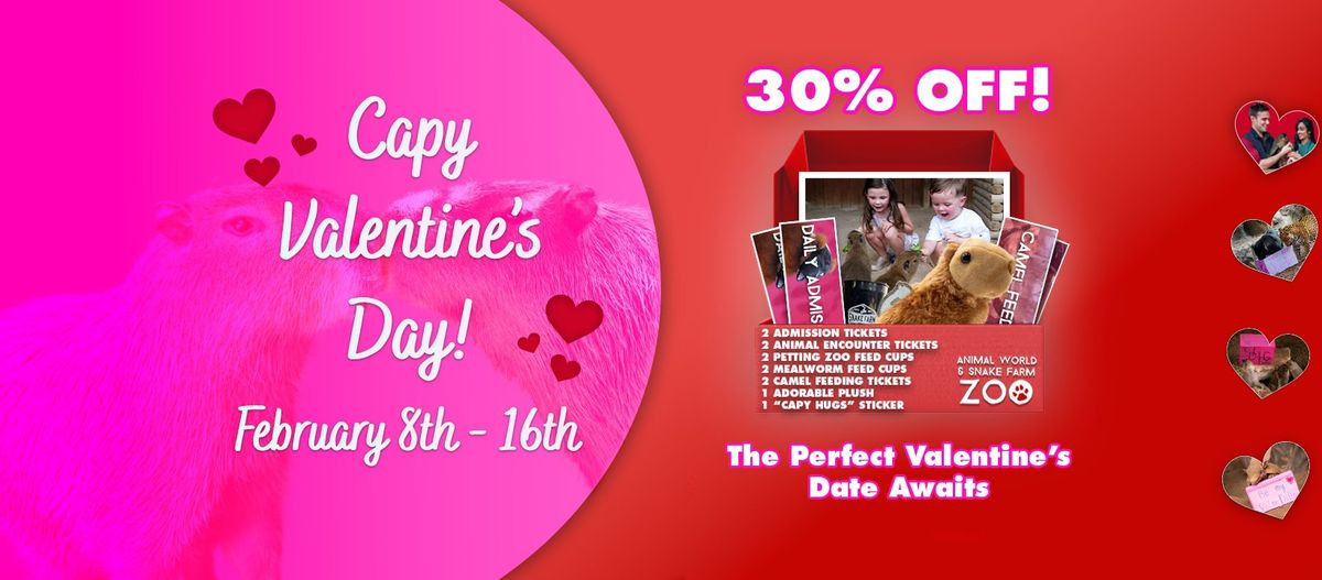 "Capy" Valentine's Day!