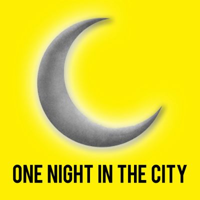 One Night In The City, LLC