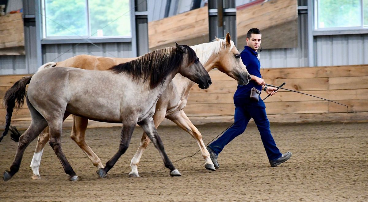 Five-Day Intensive Performance Horsemanship Clinic