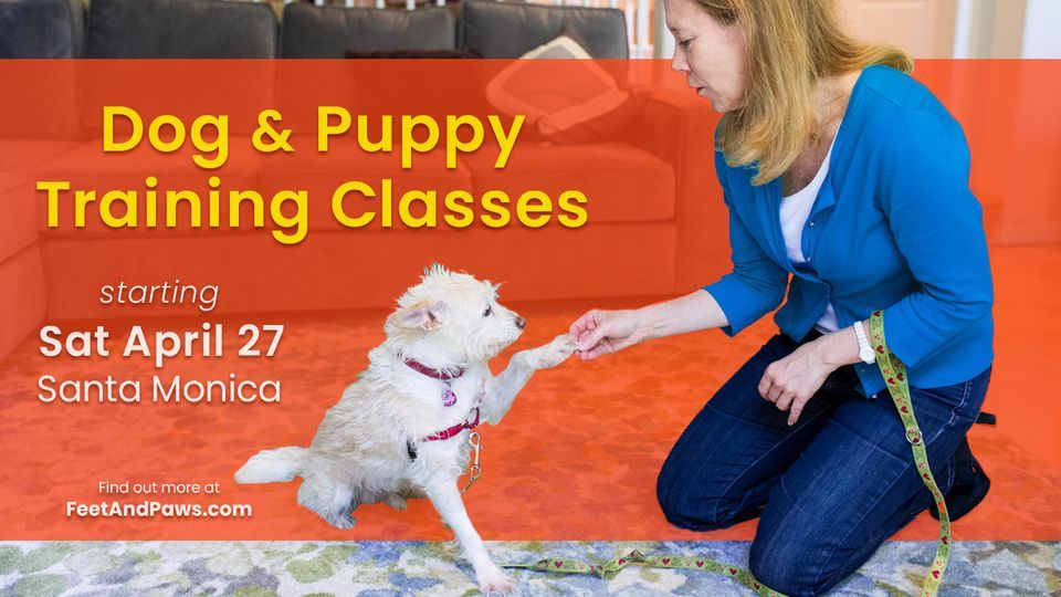  Dog & Puppy Training Classes Start Sat Apr 27