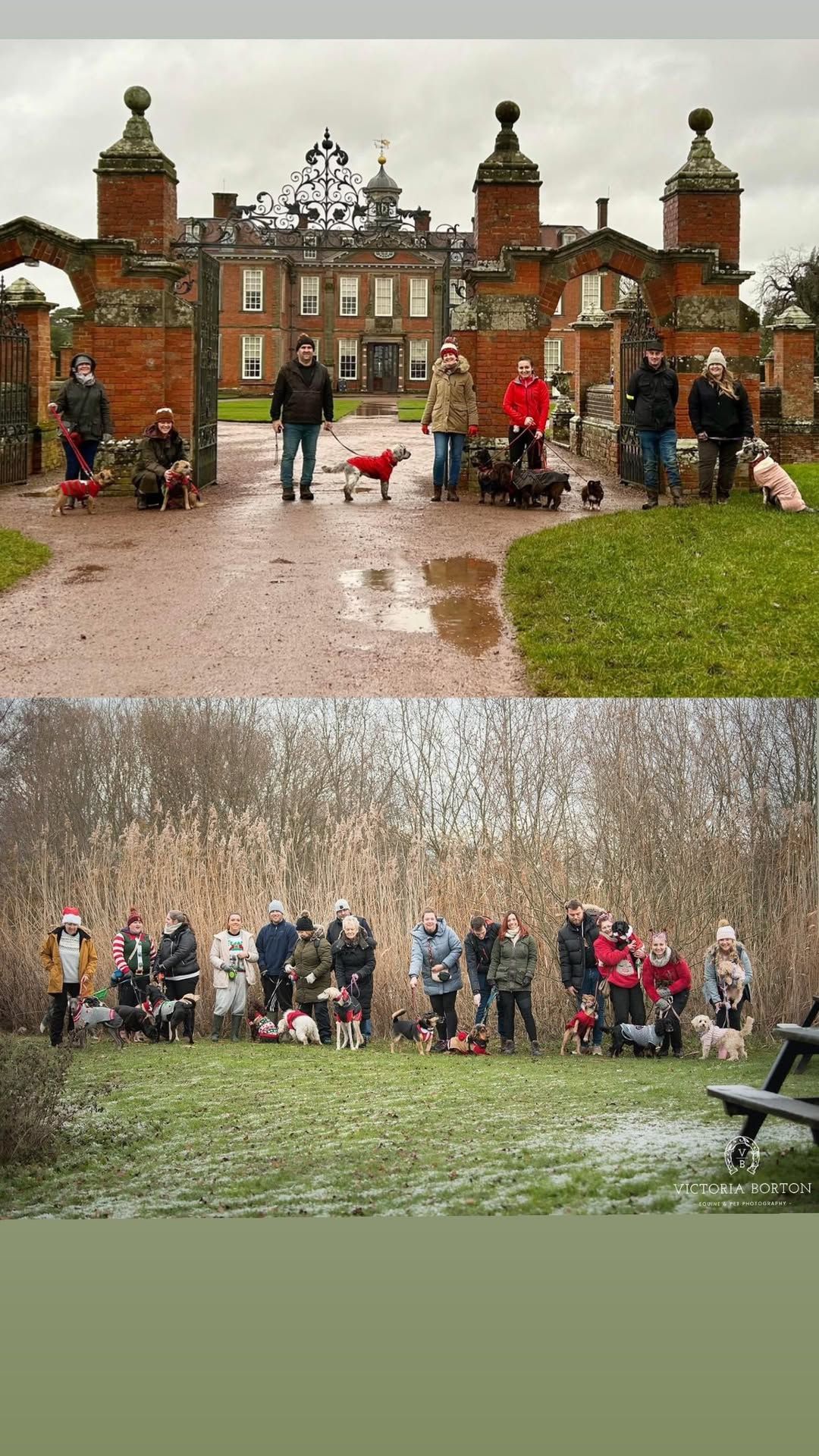 Christmas Social Dog Walk 2024