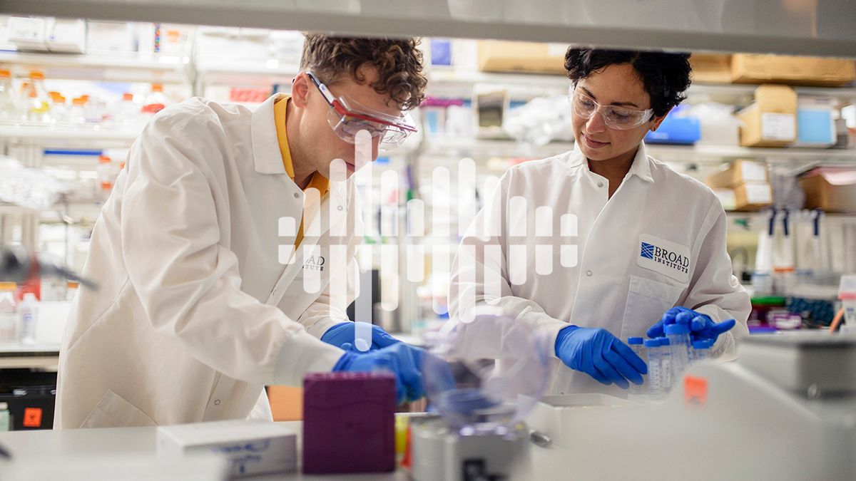 Knowledge Fight Podcast