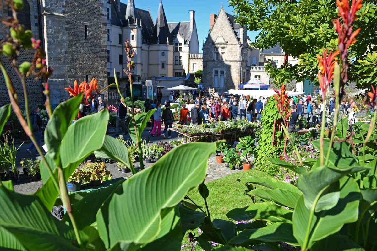 Entre Cours et Jardins