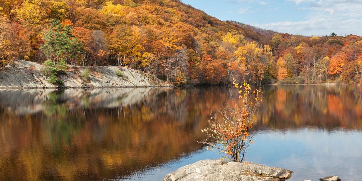 Fall Foliage Cruise to Bear Mountain (Pier 11 Departure), NY Waterway