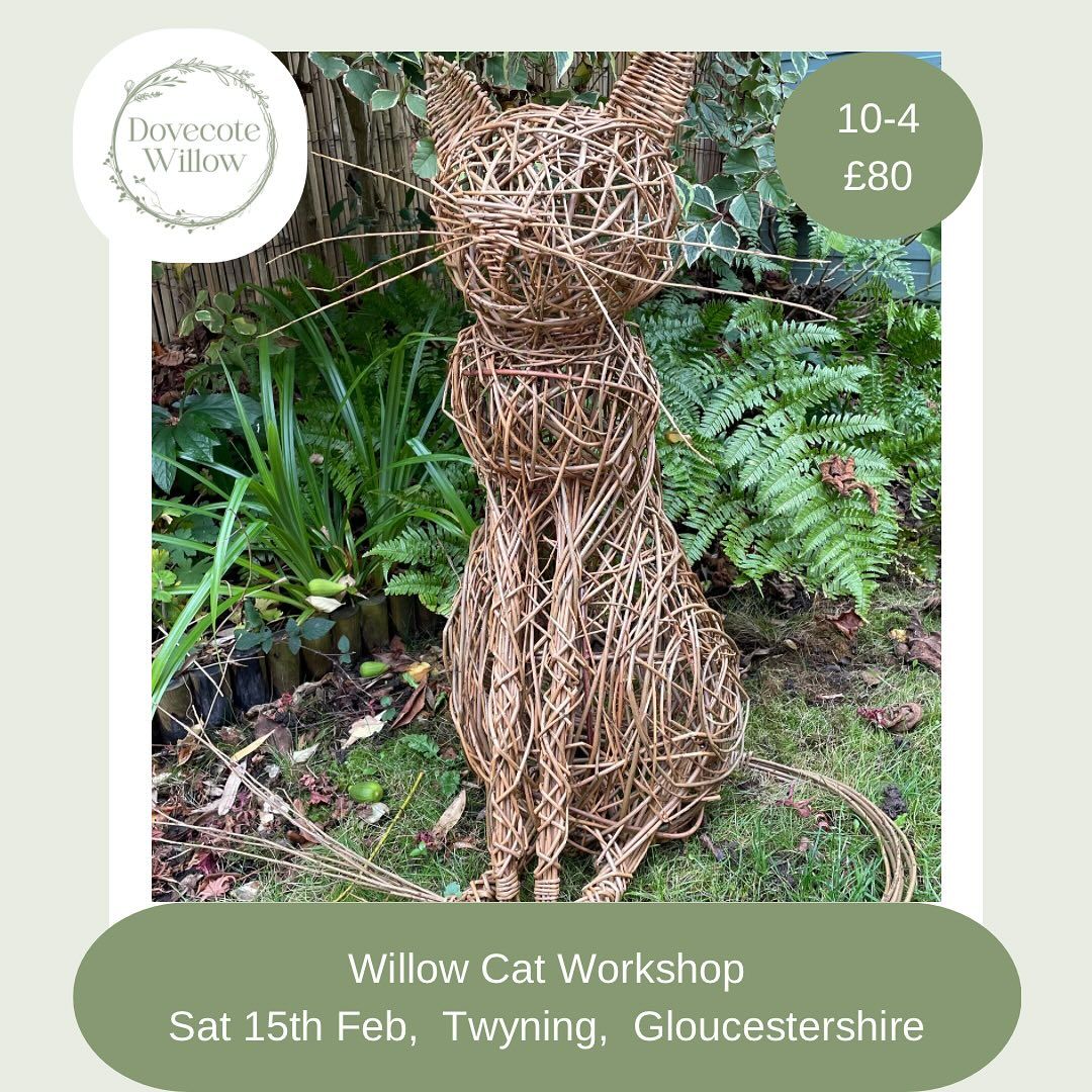 Willow Cat Workshop