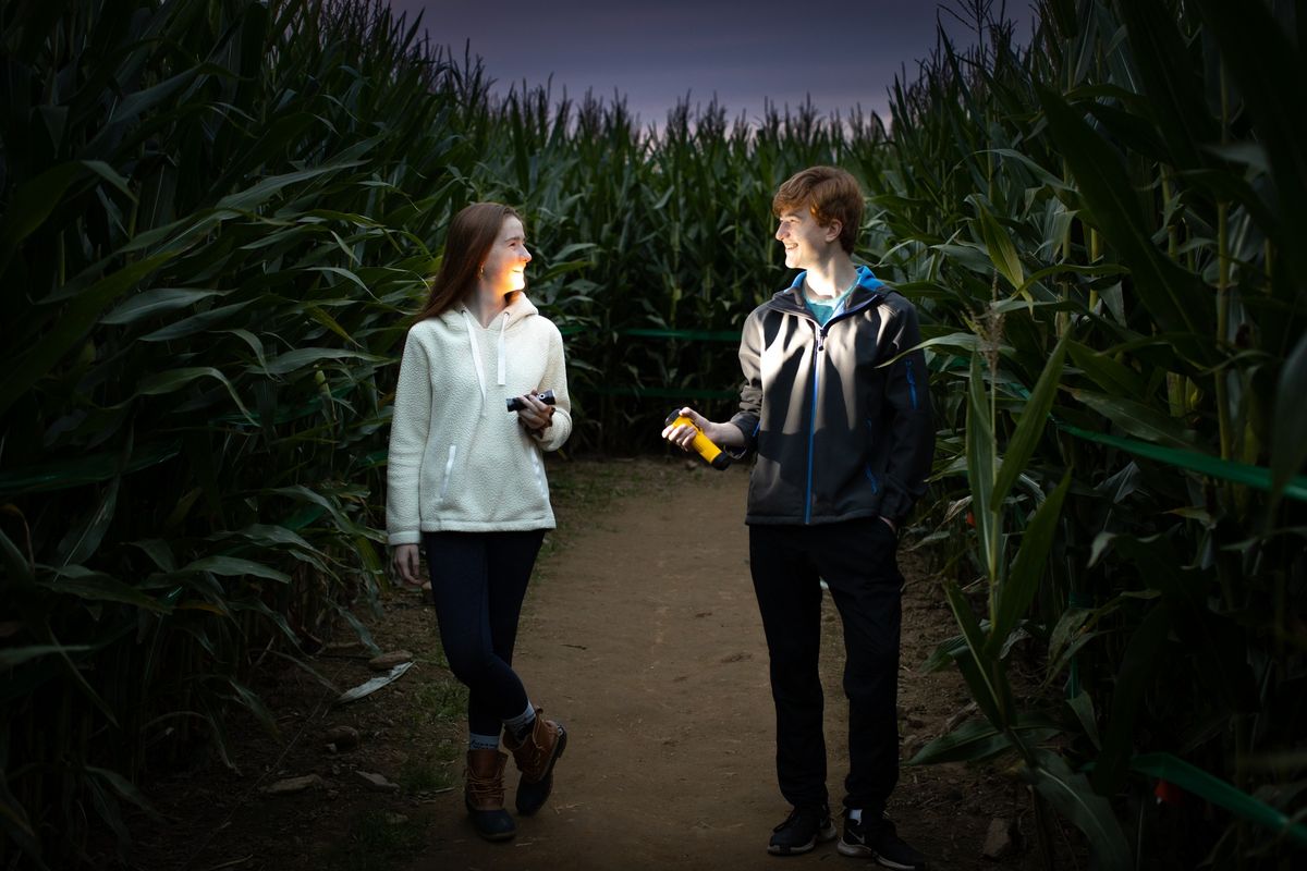 Flashlight Nights at Stony Hill Corn Maze, Chester NJ