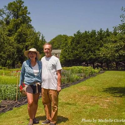 Seashore Flower Farm