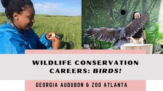 Wildlife Conservation Careers: BIRDS! - Middle and High School