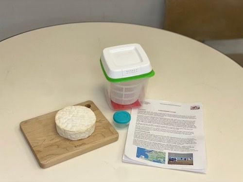 Learn to Make Soft Cheeses: Camembert