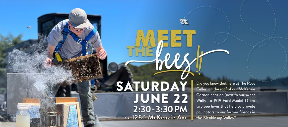 Meet The Bees