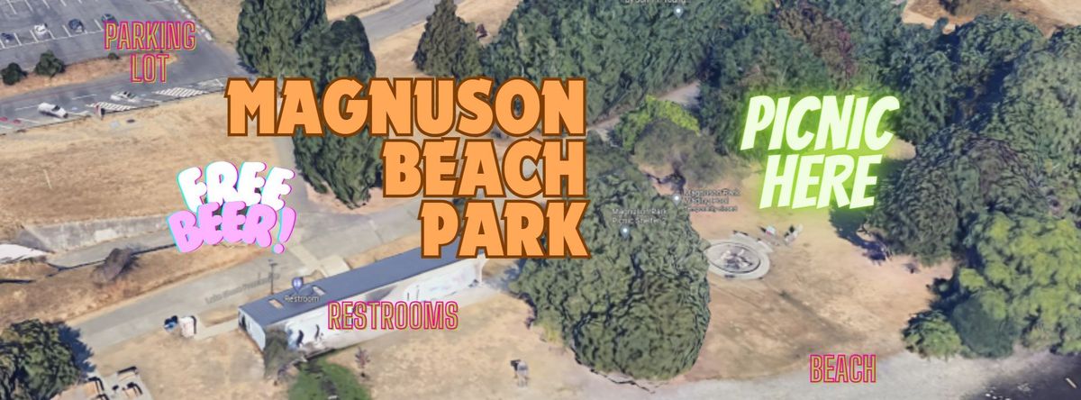 picnic & volleyball @ Magnuson Park Beach Sat July 13 2024 !!