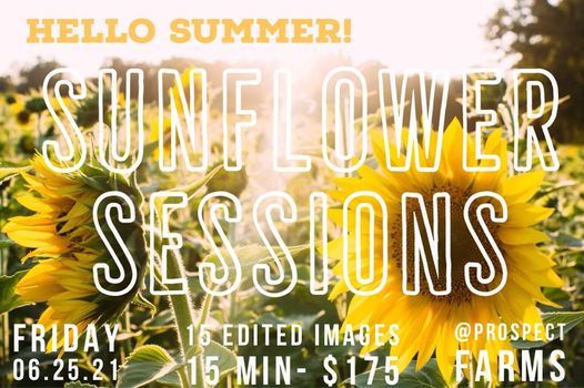 Sunflower mini sessions at Prospect Farms