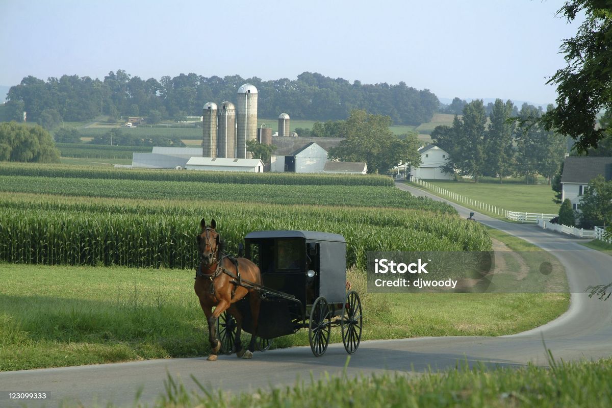 Ohio Amish Shopping Day