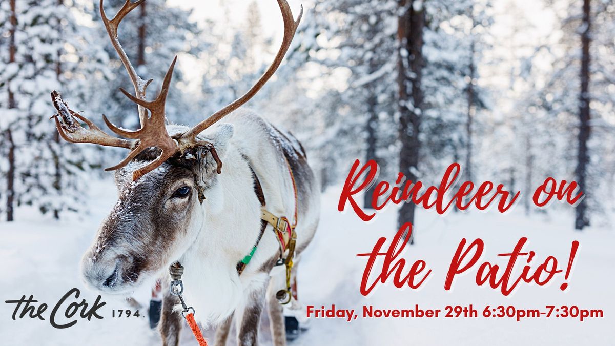 Reindeer on The Cork's Patio!