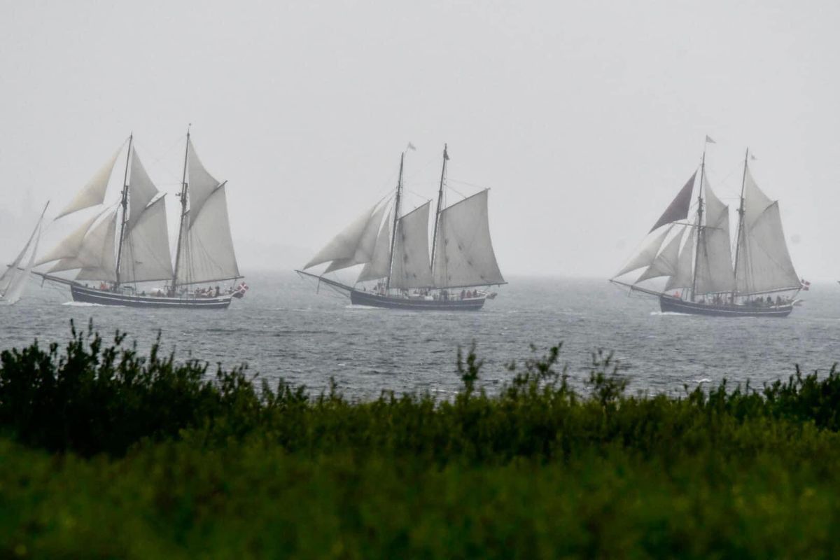 Kapsejlads Limfjorden Rundt med Johanne - Fur - Skive