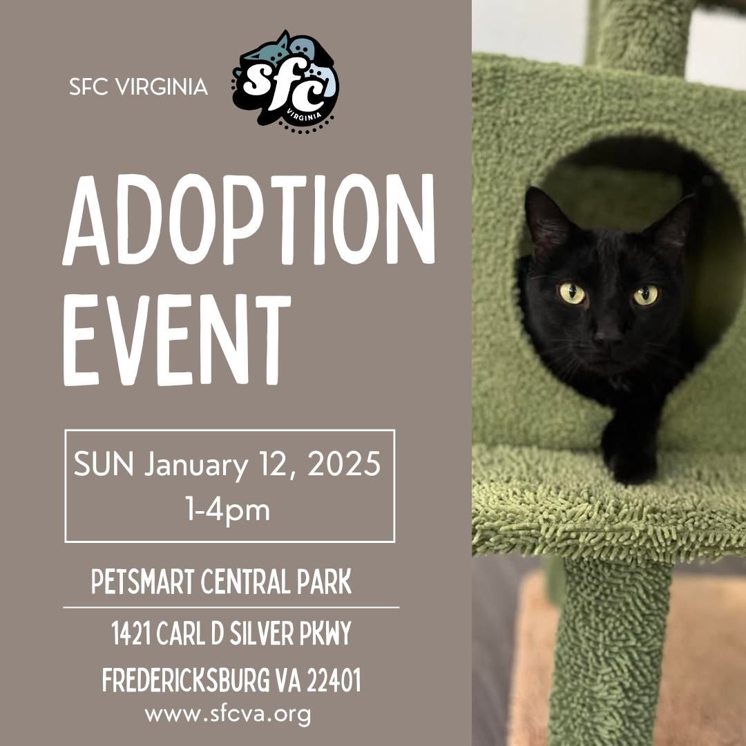 1\/12 Adoption Event at Petsmart Central Park