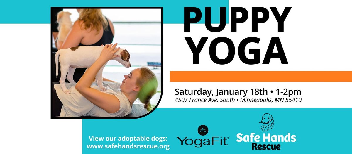 Safe Hands Rescue Puppy Yoga