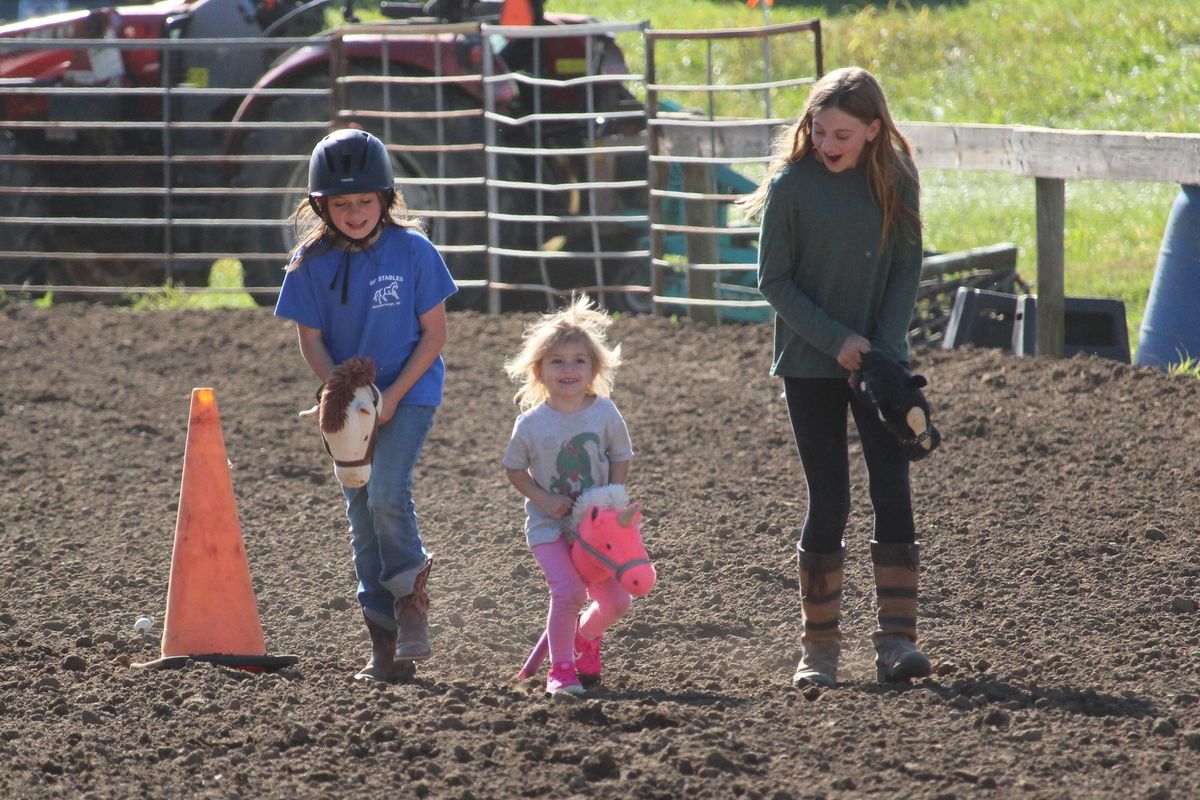 Hobby Horseing Clinic