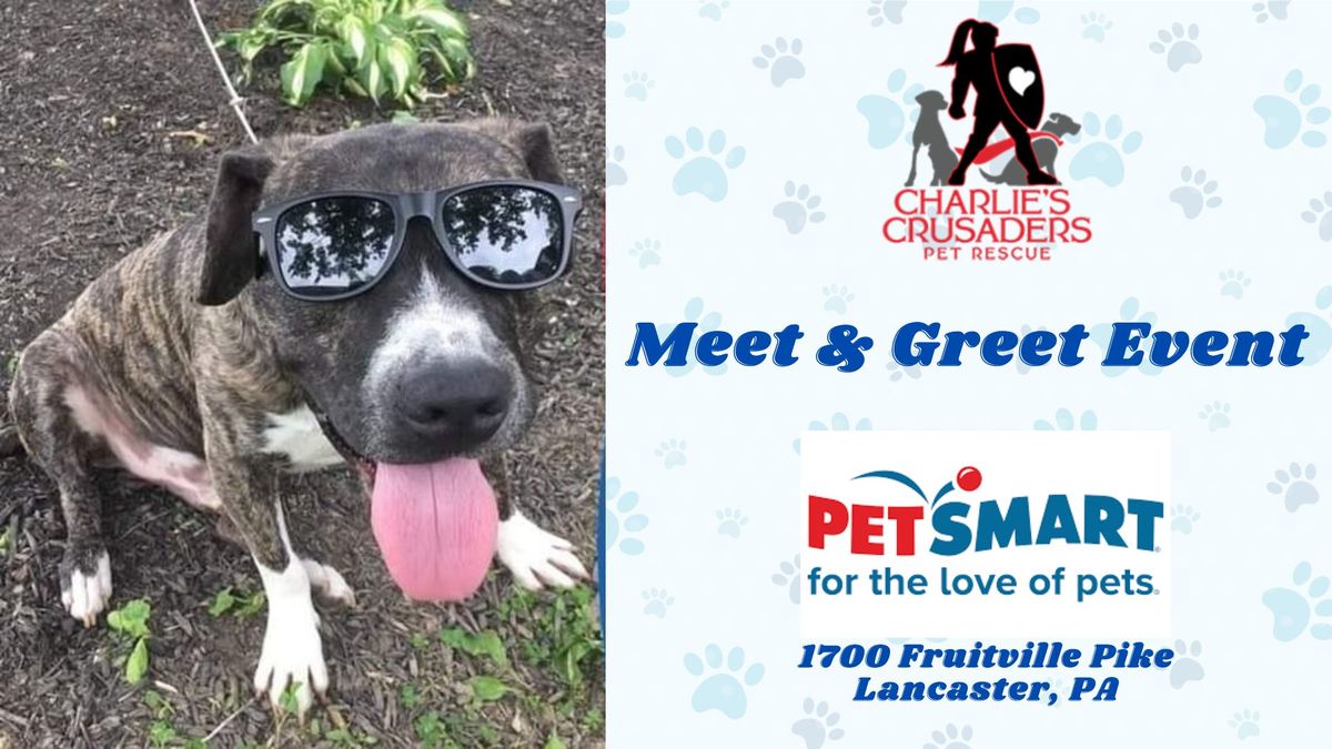 Meet & Greet Adoptable Dogs