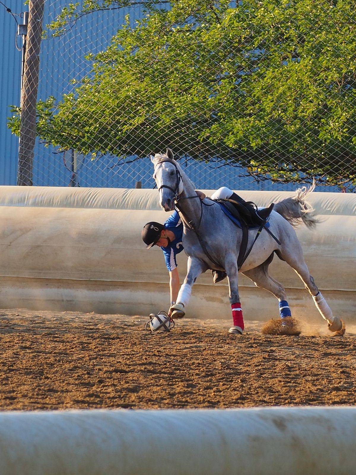 British Horseball Association U16 & U21 Great Britain Team Training