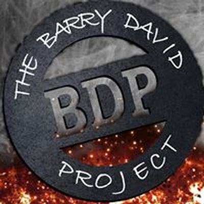 The Barry David Project
