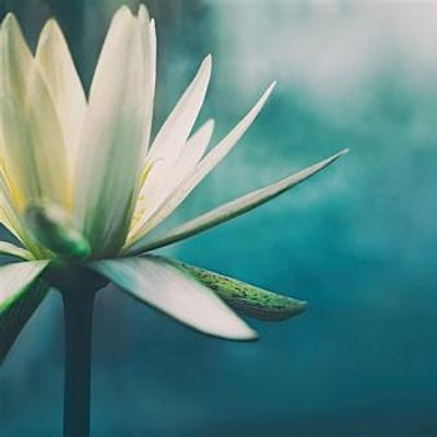 Deepening Recovery Retreats