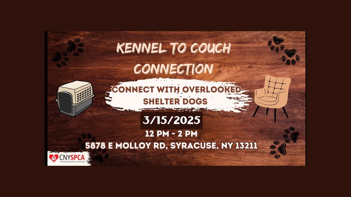 Kennel To Couch Connection: Connect With Overlooked Shelter Dogs