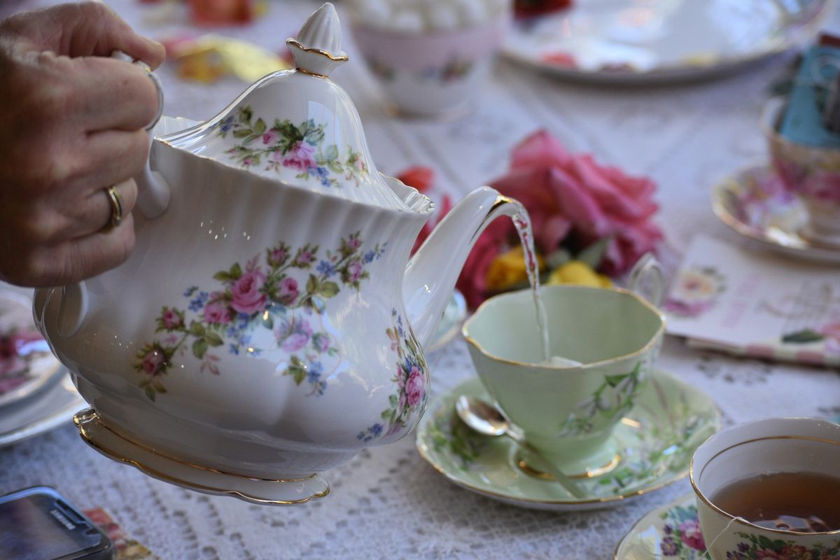 National Cream Tea Day Celebration at Mansfield Cat Centre