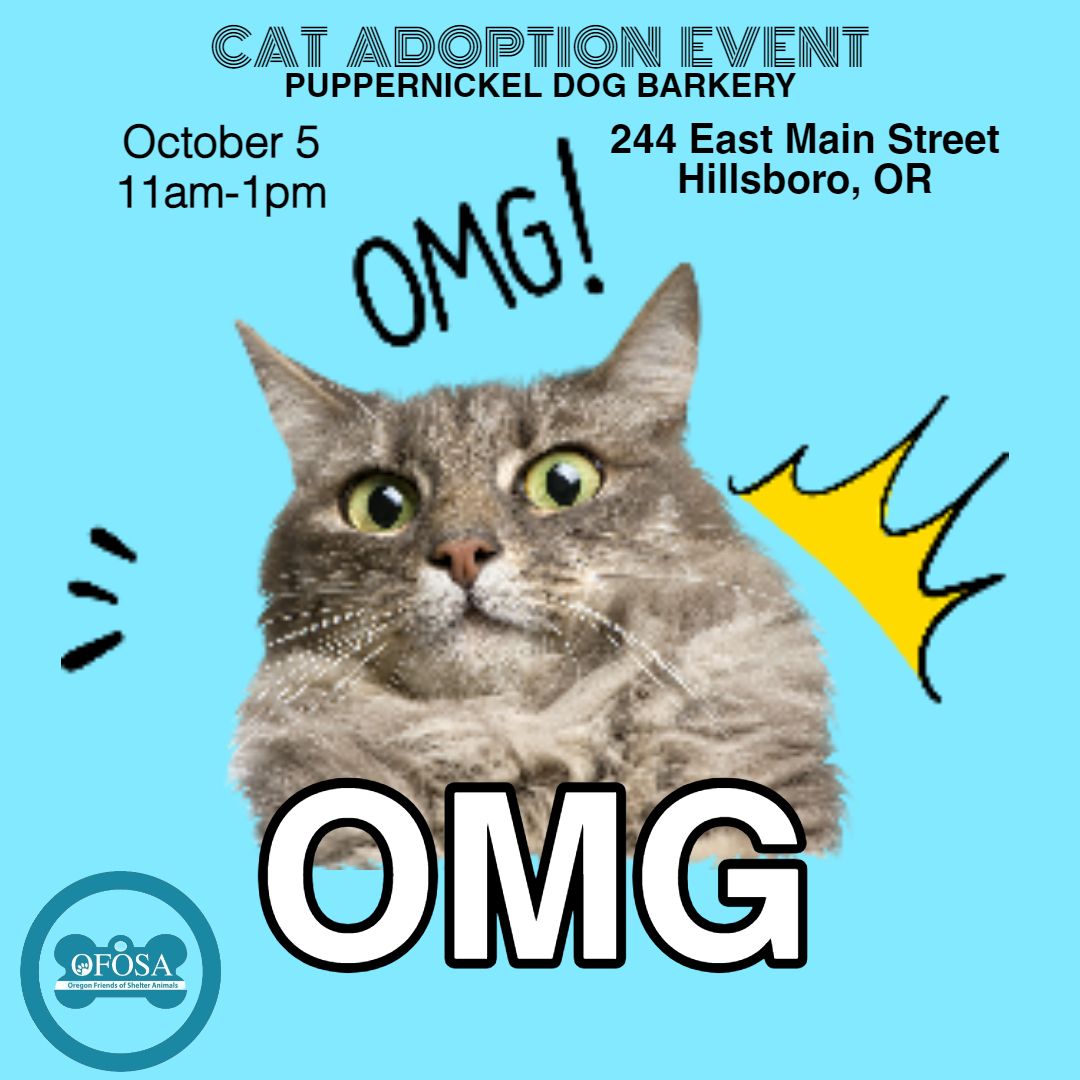 Cat Adoption Event