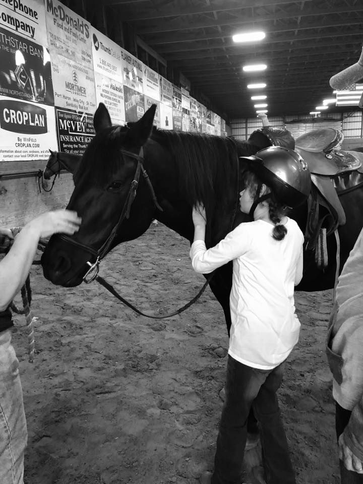 Volunteer Orientation & New Horse Assessment 