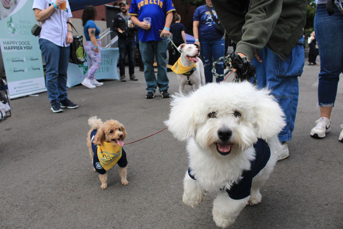 DogFest Seattle