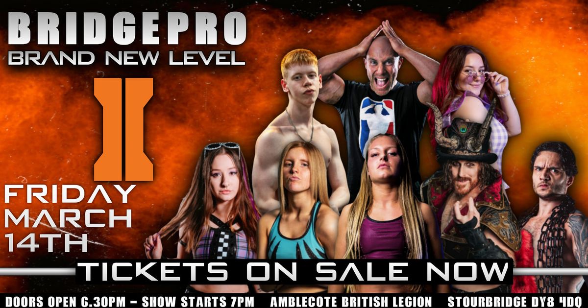 BRIDGE PRO WRESTLING Presents BRAND NEW LEVEL II