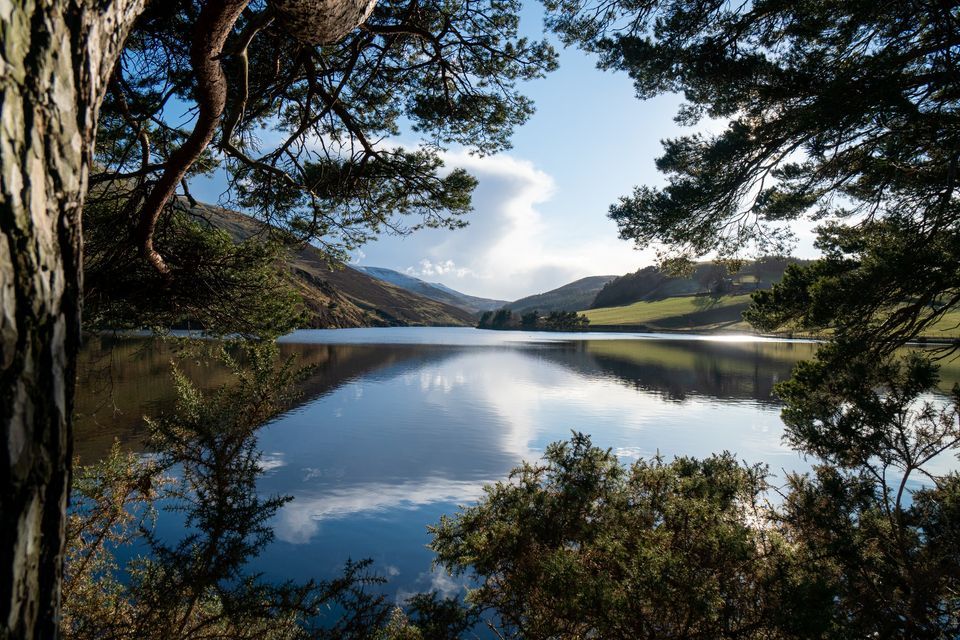 2:00pm Wednesday Afternoon Swim - Meet at Pentlands Hills Cafe Express