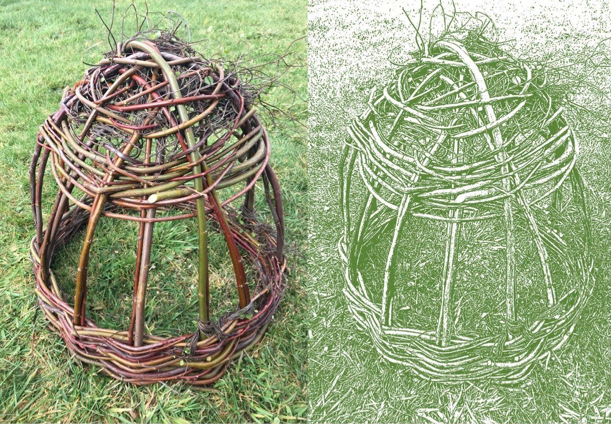 Making a garden cloche out of willow and dogwood