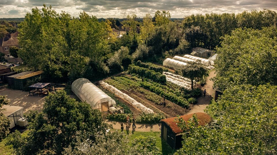 Saturday Urb Farm Market 