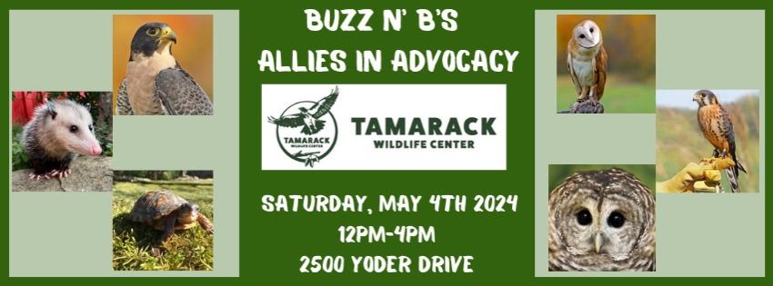 Allies In Advocacy: Tamarack Wildlife Center