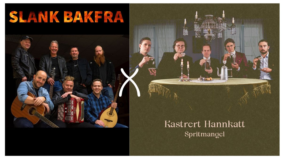 Slank Bakfra og Kastrert Hannkatt