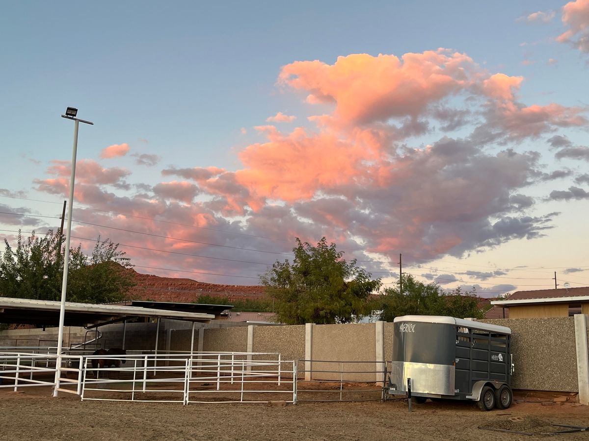 Mindfulness with Horses