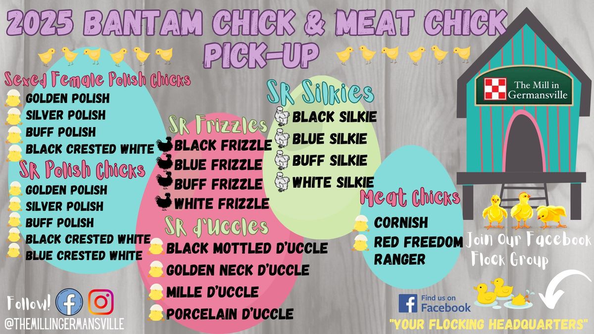 2025 Bantam Chick & Meat Chick Pick Up 