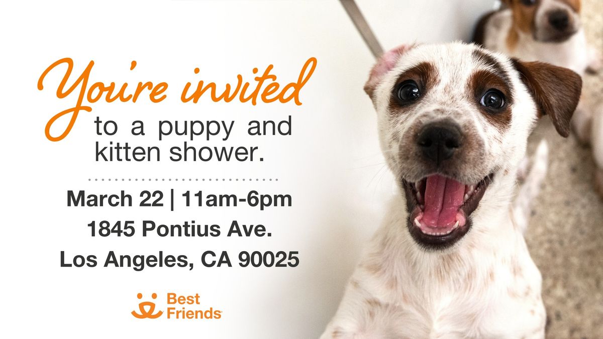 LA - Puppy & Kitten Shower