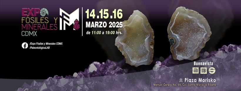 Expo f\u00f3siles y minerales CDMX