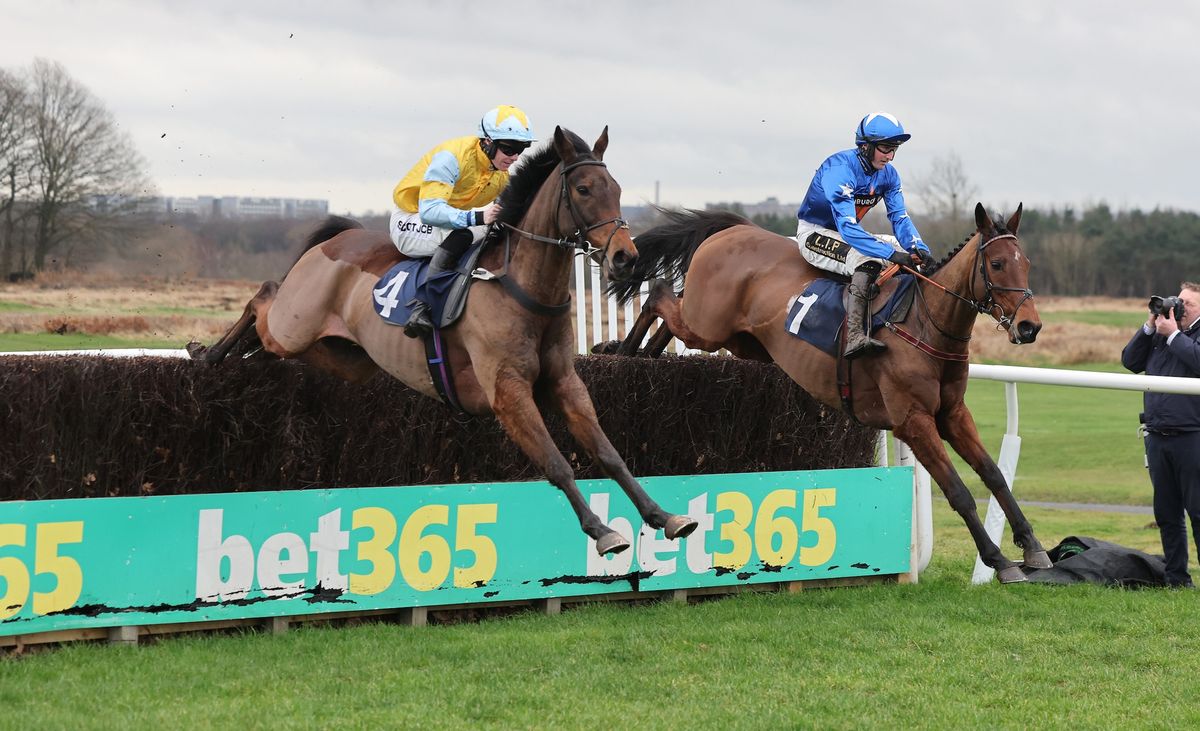 Afternoon Jump Racing - Thursday 31st October