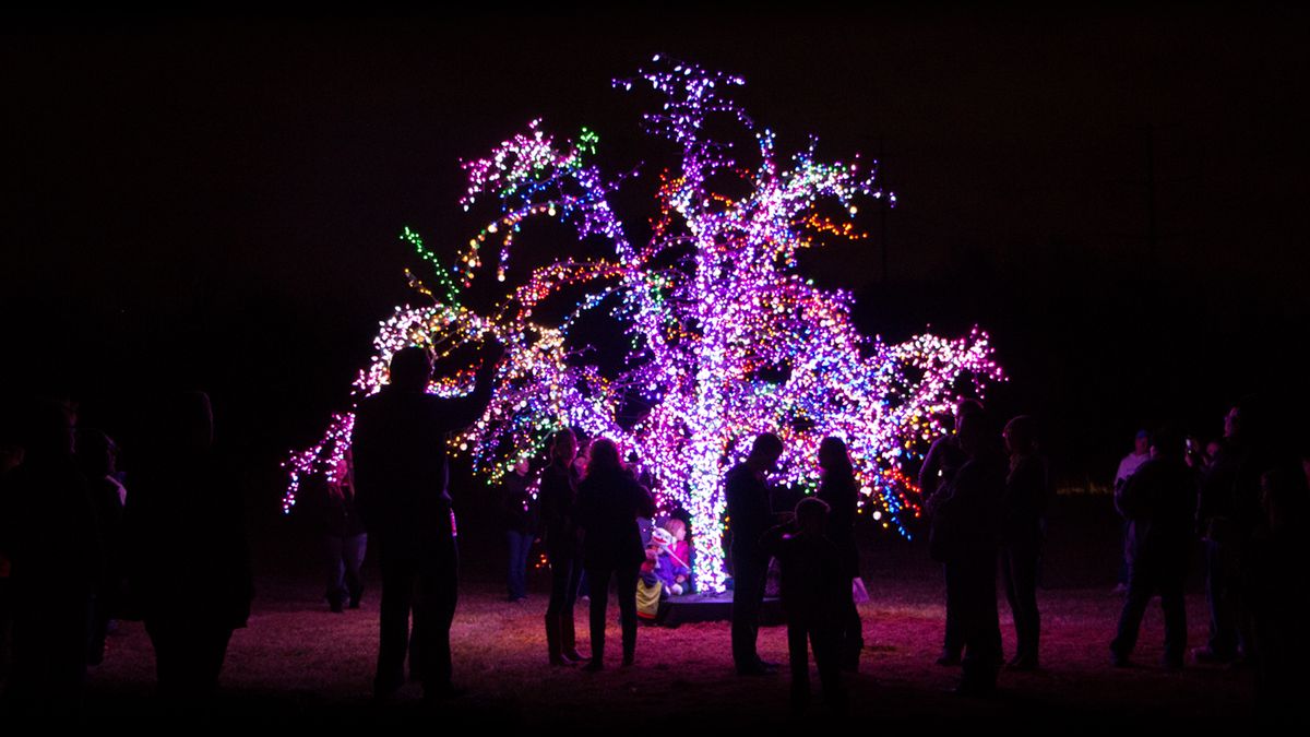 Magic Tree Lighting Ceremony